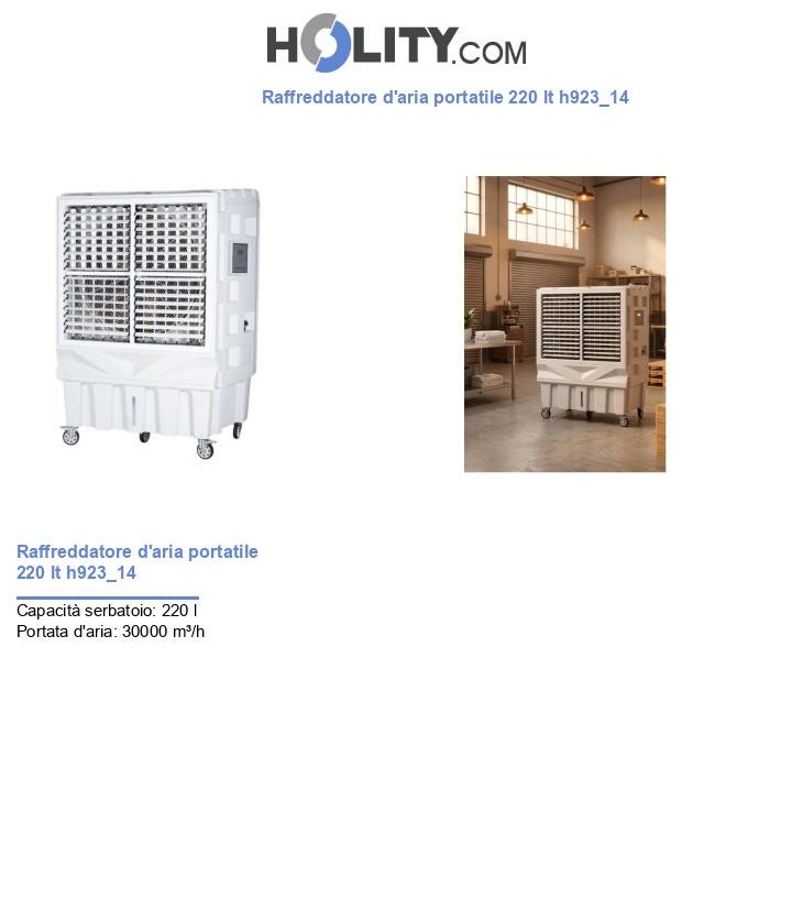 Raffreddatore d'aria portatile 220 lt h923_14