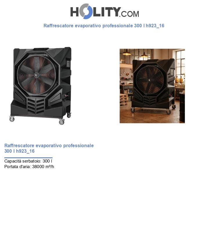 Raffrescatore evaporativo professionale 300 l h923_16