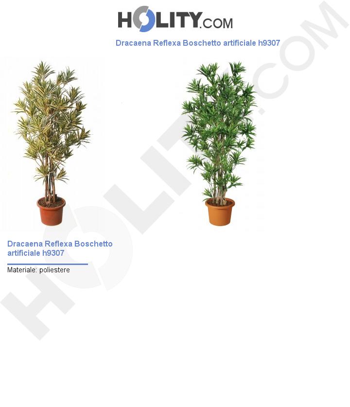 Dracaena Reflexa Boschetto artificiale h9307