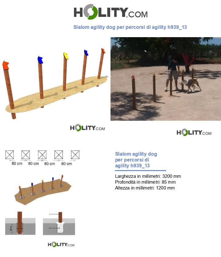 Slalom agility dog per percorsi di agility h939_13