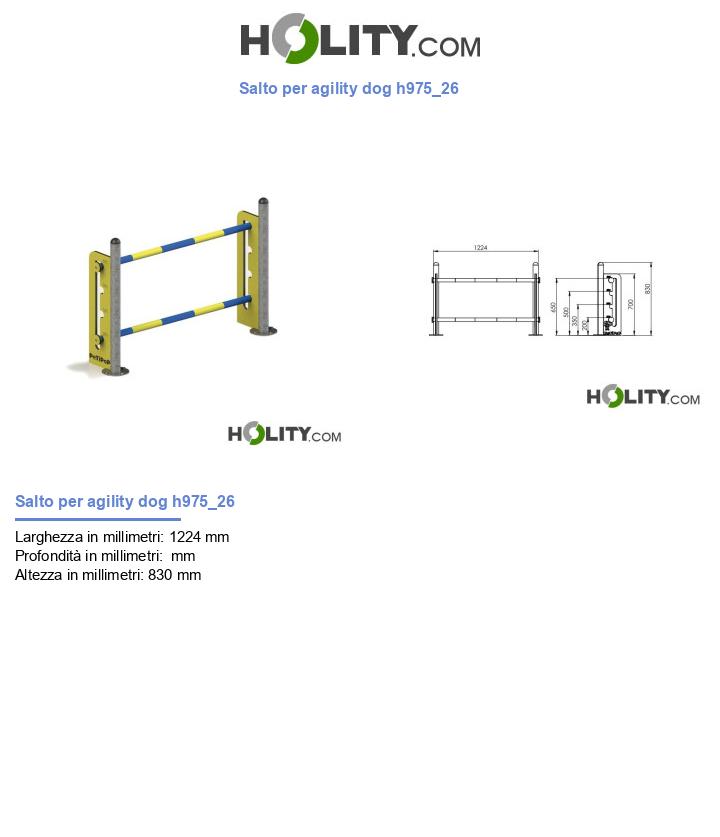 Salto per agility dog h975_26