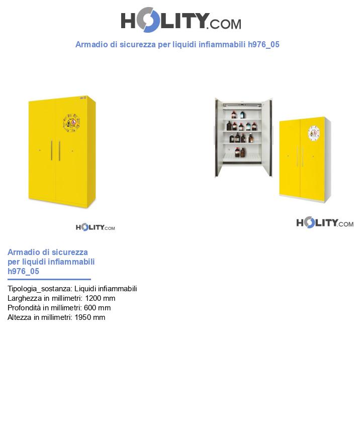 Armadio di sicurezza per liquidi infiammabili h976_05