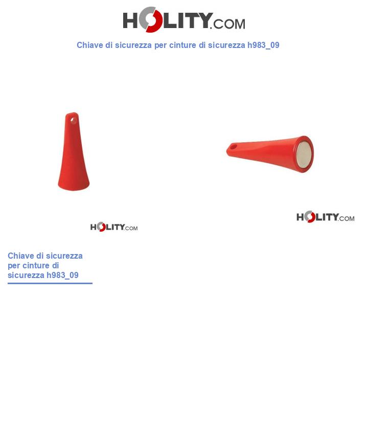 Chiave di sicurezza per cinture di sicurezza h983_09